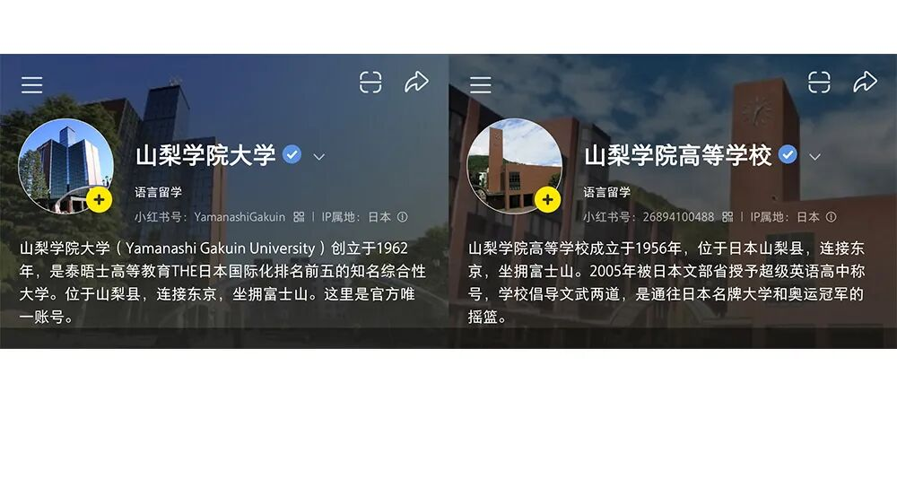新闻1.png