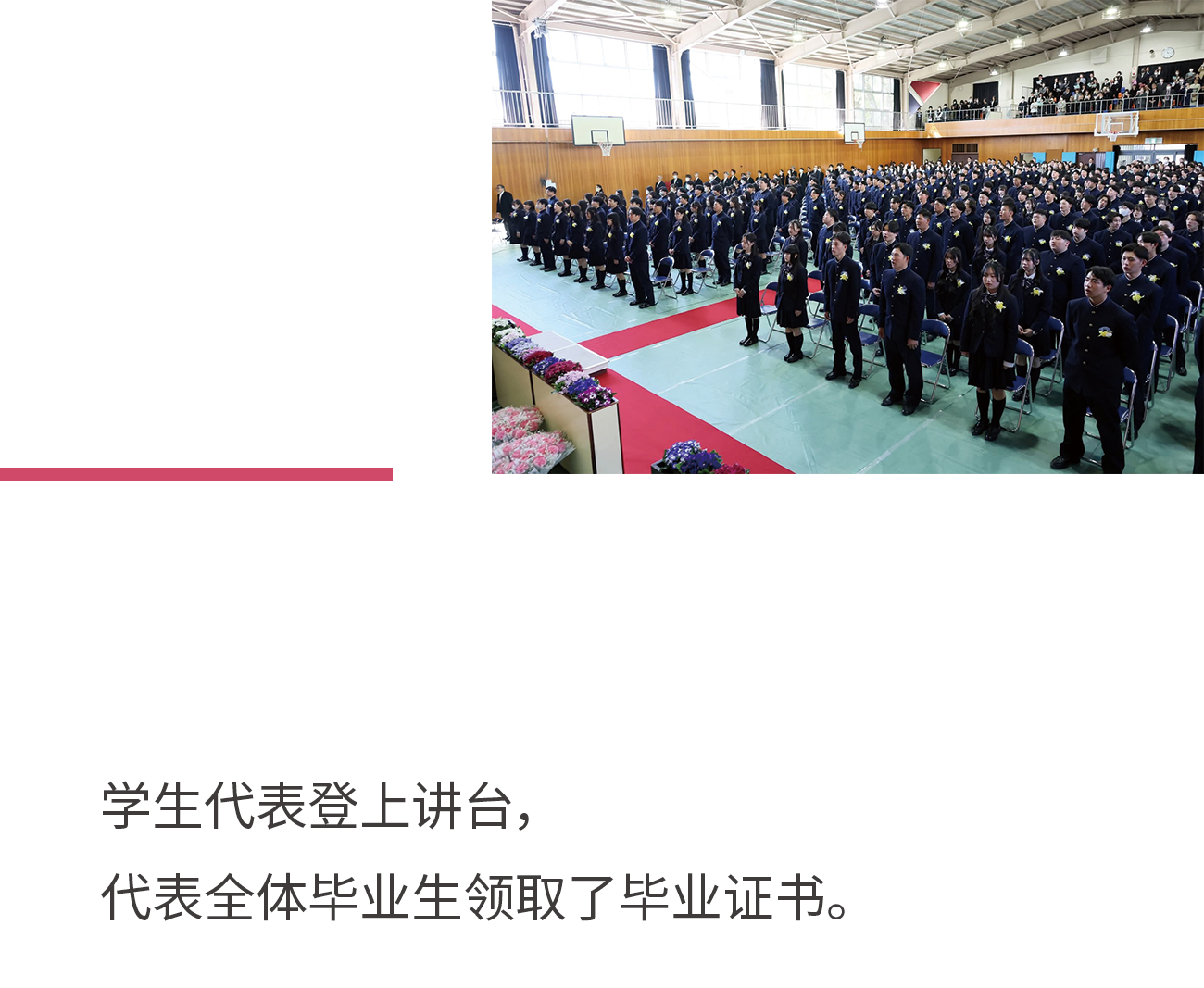 公众号_03_01.png